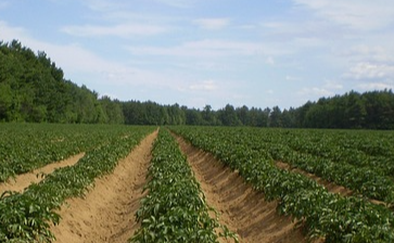 양도소득세 자동계산, 양도소득세 신고기한