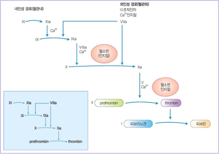 오메가3 부작용 신호&amp;#44; 계속 먹어도 되는지 고민해야 하는 순간