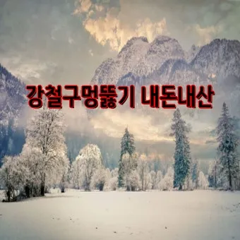 멀칭 필수 가이드 비닐 왕겨 볏짚 잡초 수분관리 효과_8