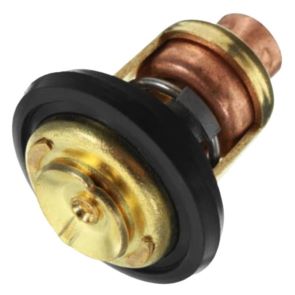 머큐리 엔진 온도 이미지