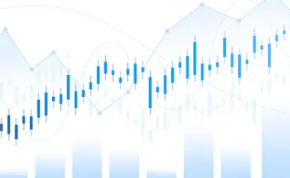 비만약 마운자로