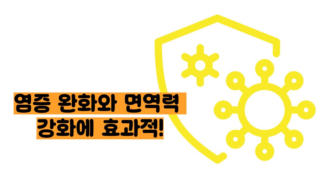 병아리콩 효능 부작용