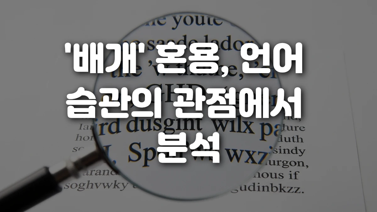 배개 혼용 언어 습관의 관점에서 분석