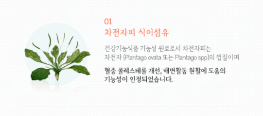 차전자피식이섬유-설명