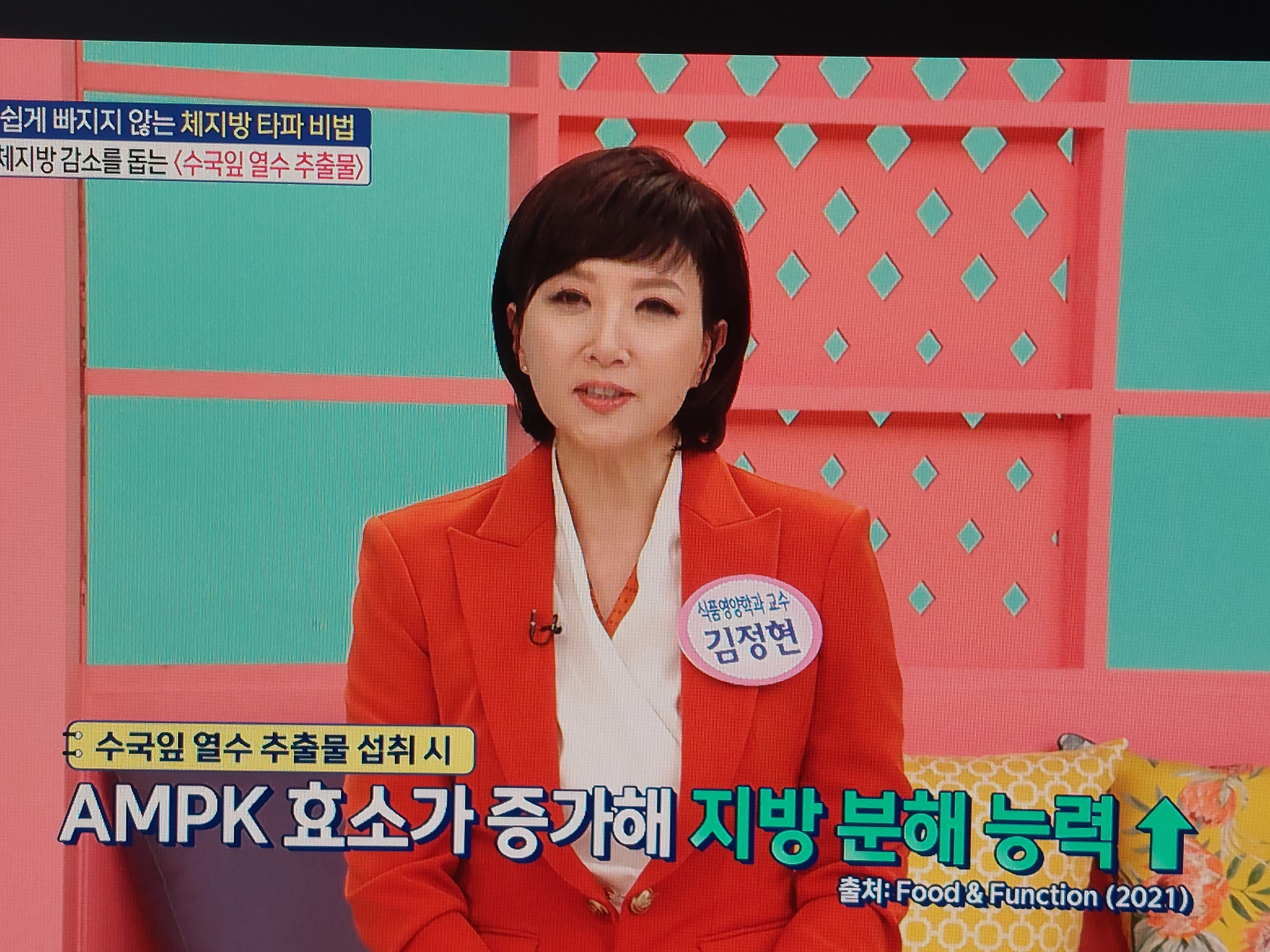 수국잎열수추출물 분말 효능