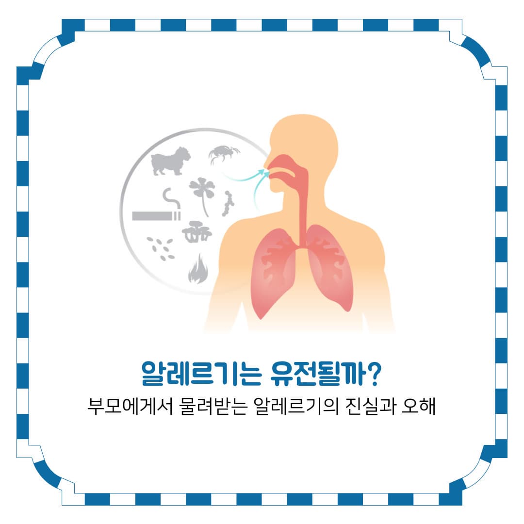 알레르기는 유전될까?
부모에게서 물려받는 알레르기의 진실과 오해
