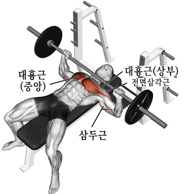 벤치프레스