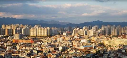 대구시 관련 이미지