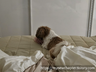 수면 시간은 충분한데 집중력이 떨어지는 이유는 무엇일까