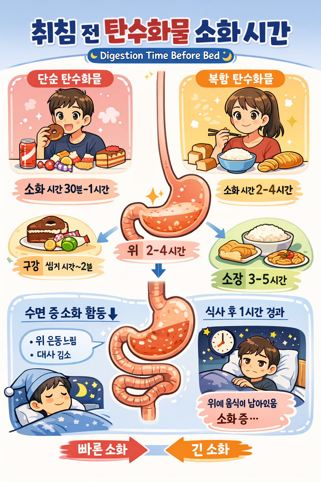 취침 전 탄수화물 섭취와 소화 시간의 관계