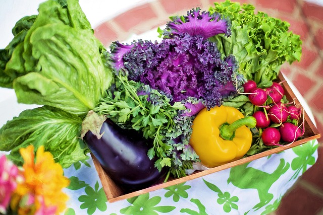 eggplant nutrition