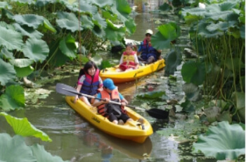 부여서동연꽃축제 카누 체험