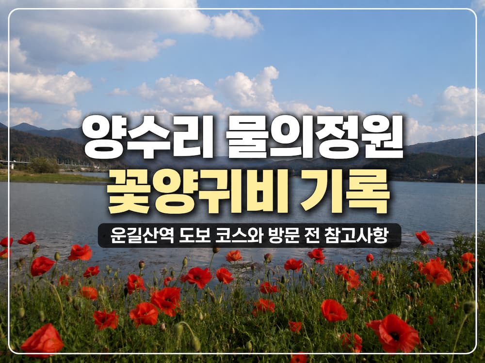 양수리 물의정원 꽃양귀비 전경 북한강 산책로 풍경