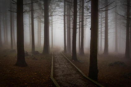 벨 위치(Bell Witch): 미국에서 기록된 가장 유명한 폴터가이스트 사건벨 가문의 저주