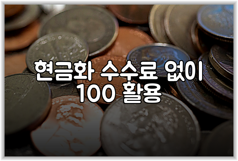 현금화 수수료 없이 100 활용