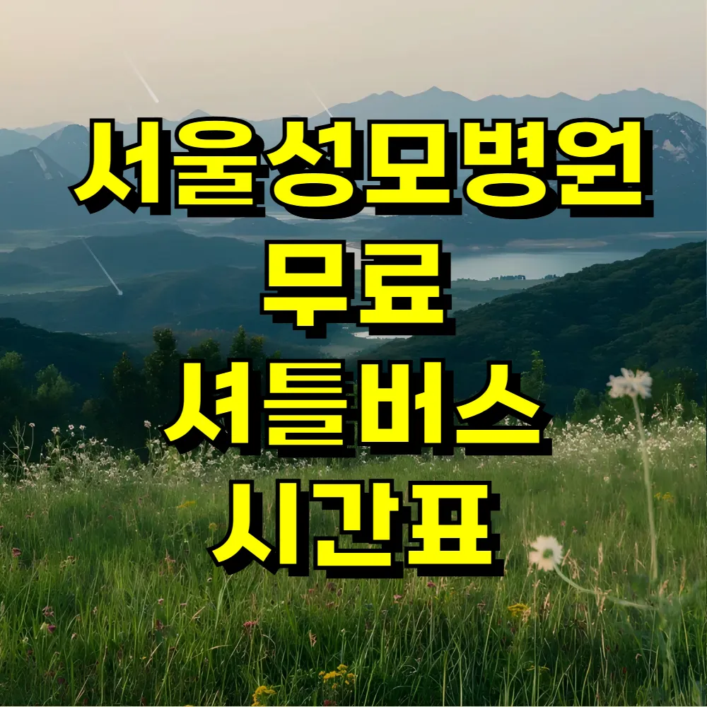 서울성모병원 무료 셔틀버스 시간표