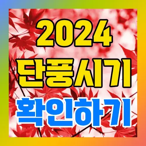 2024년 단풍시기 확인하기