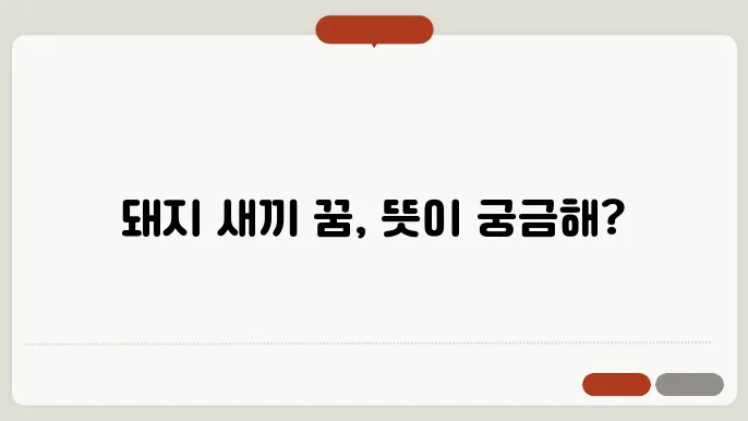 돼지 새끼 꿈