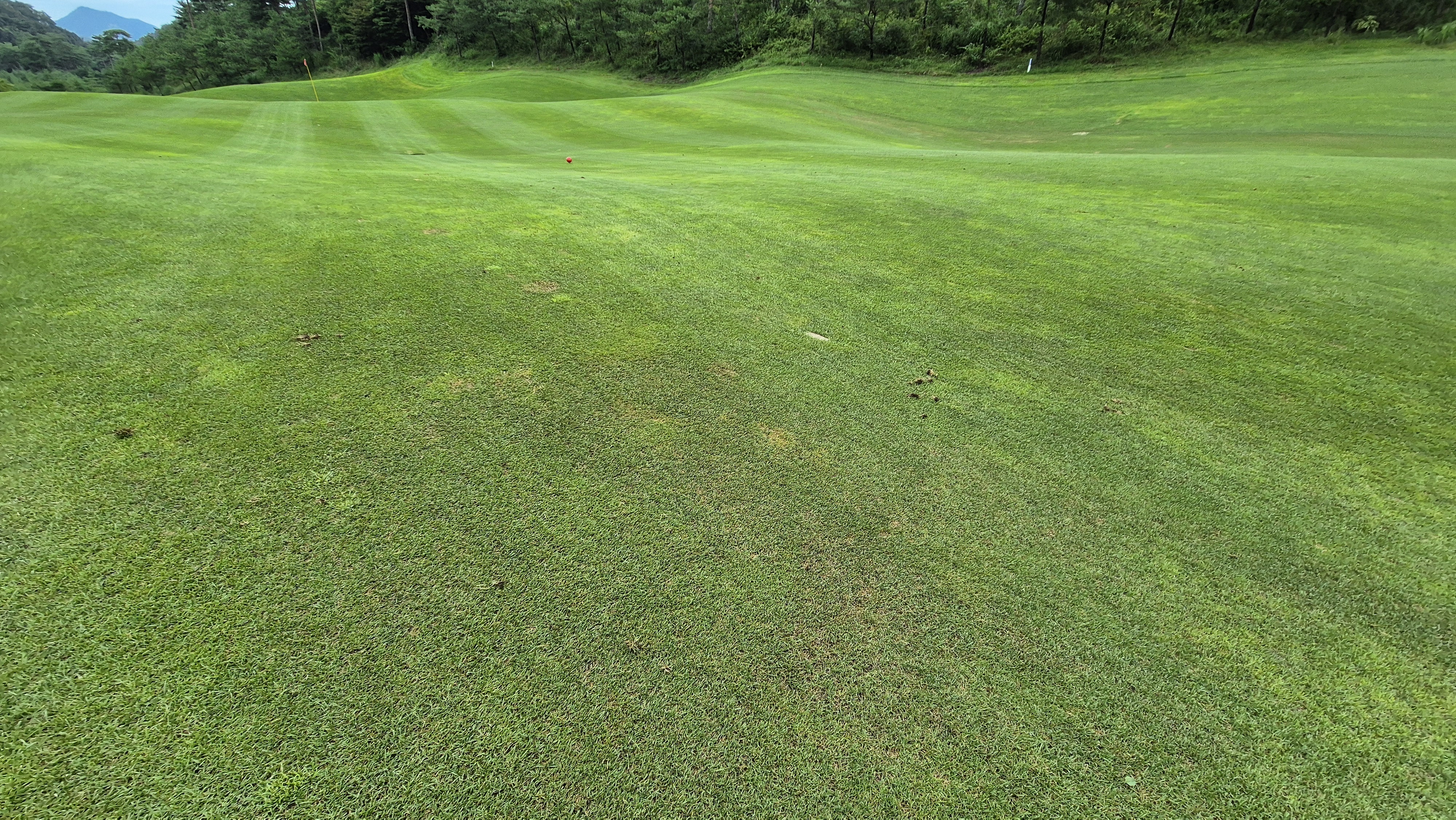 센테리움cc 스코틀랜드-웨일즈 코스 라운드 후기