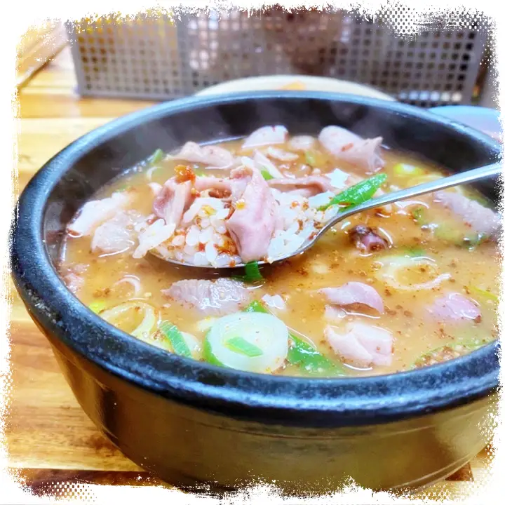 굿모닝대한민국라이브 머리고기 순대국밥 강원 원주 맛집 위치