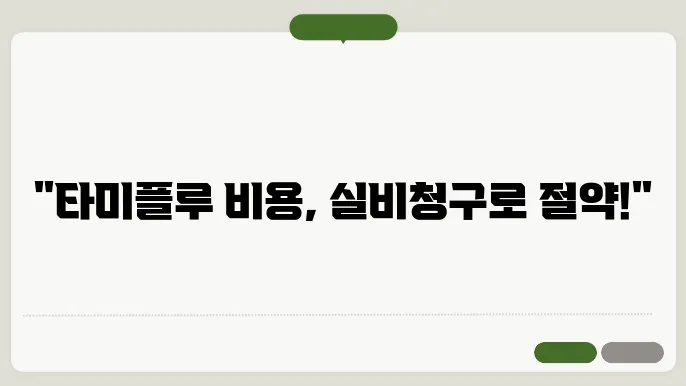A형 독감 타미플루 관련 정보