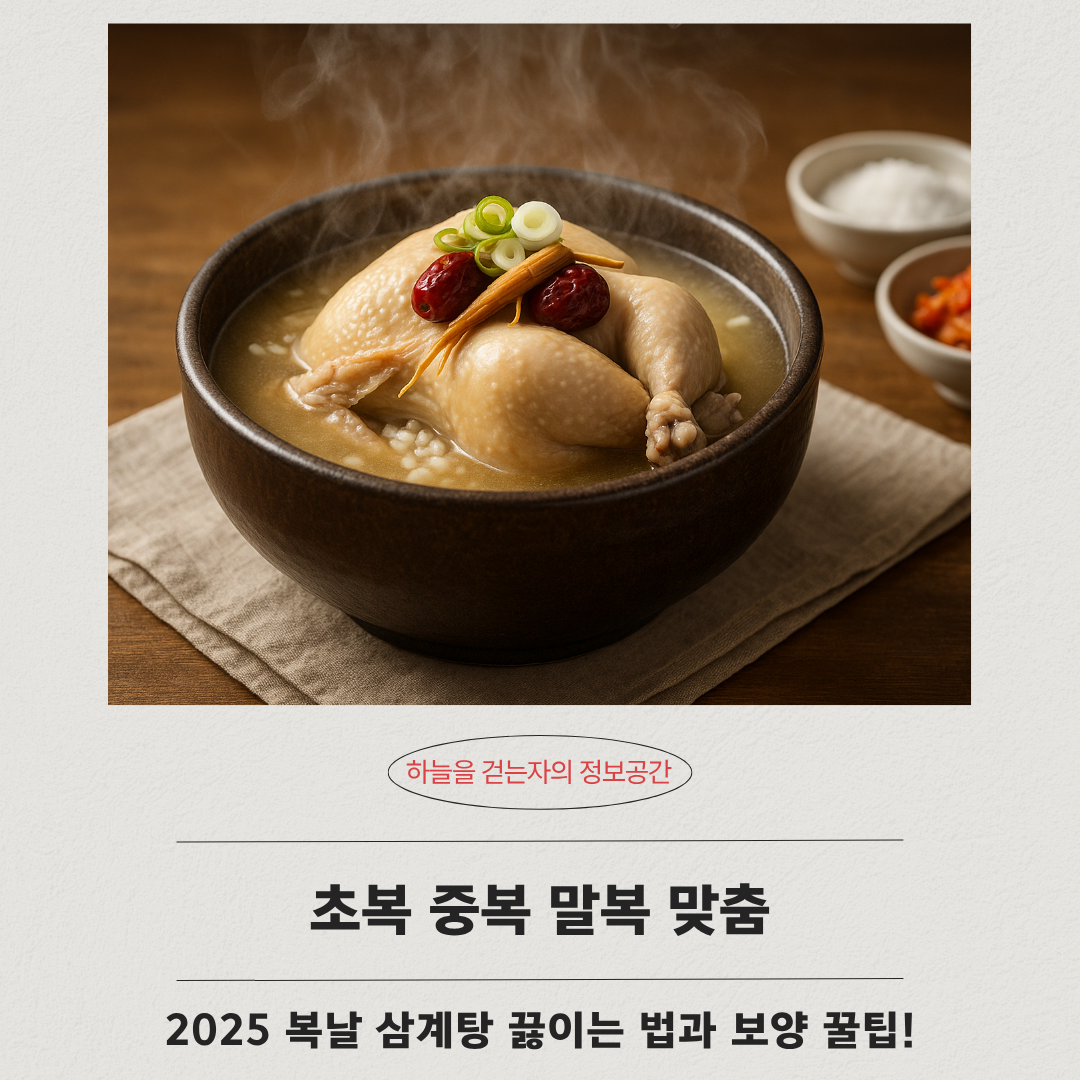 초복 중복 말복 맞춤, 2025 복날 삼계탕 끓이는 법과 보양 꿀팁!