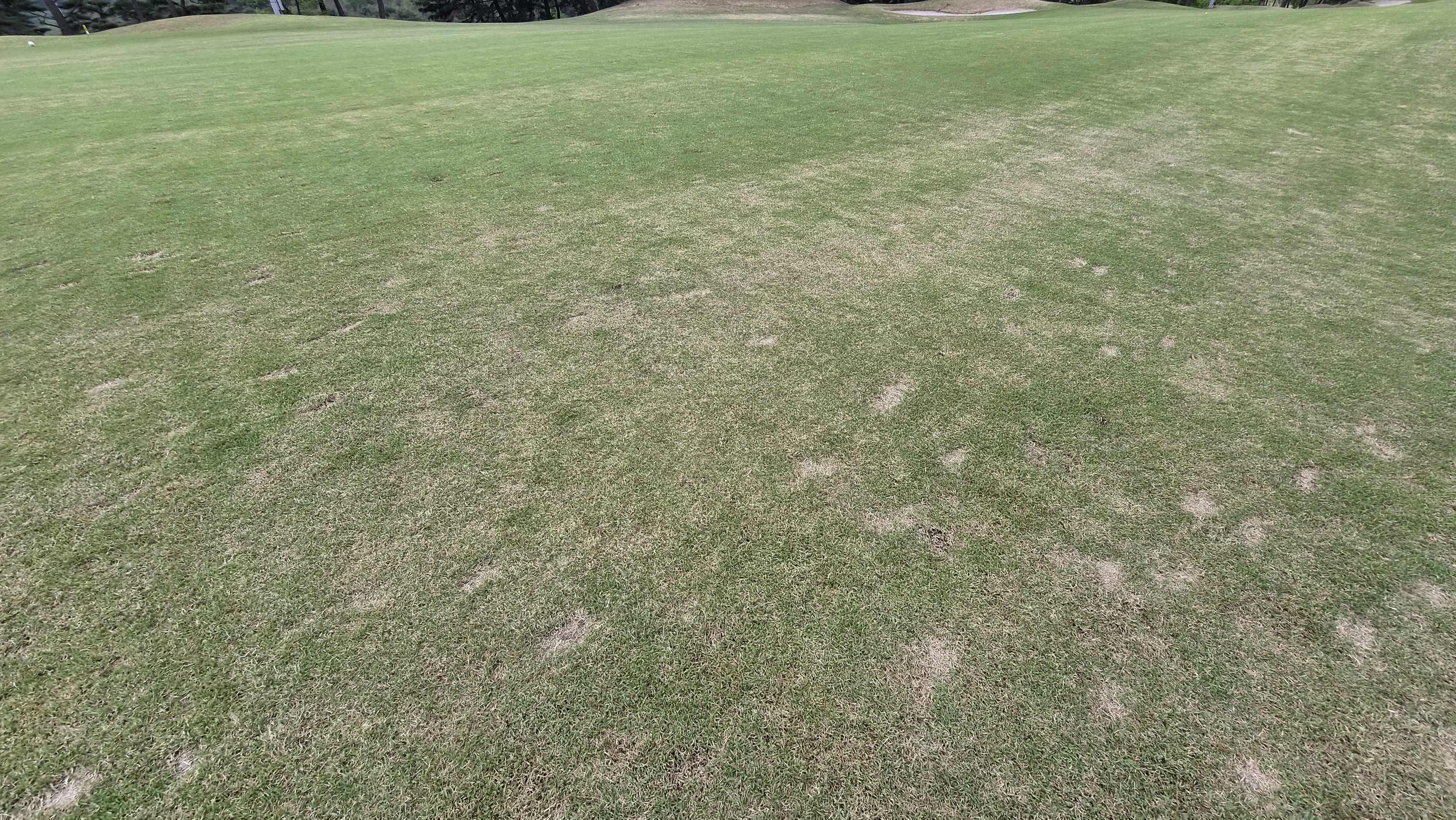 포웰cc 프린세스 라운드 후기