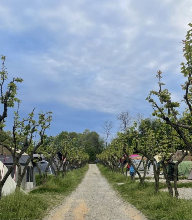 용인 숲속의 아침 캠핑장2