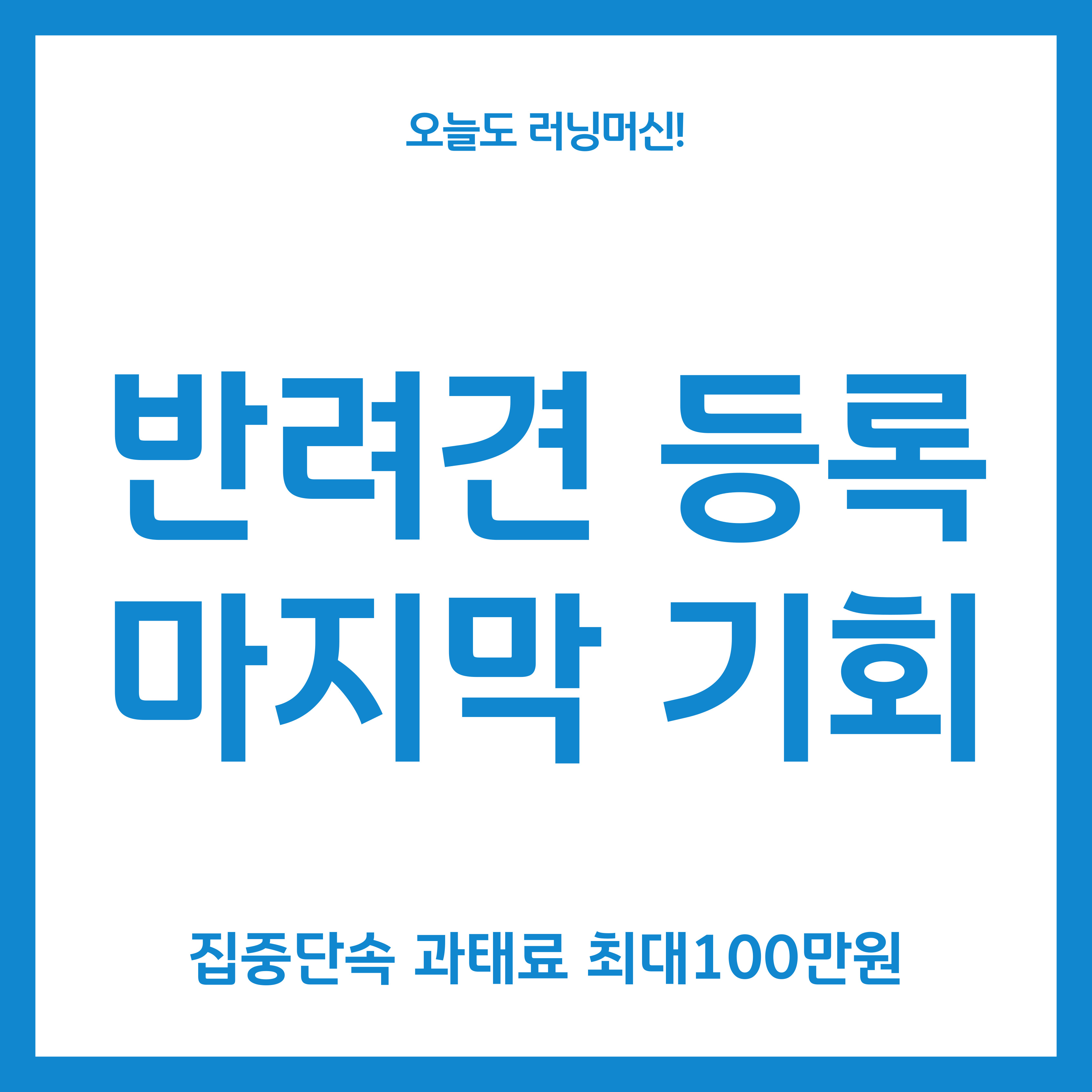 반려견 등록 마지막 기회