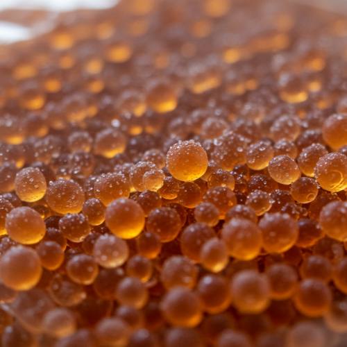 실리카겔 제습제 사진