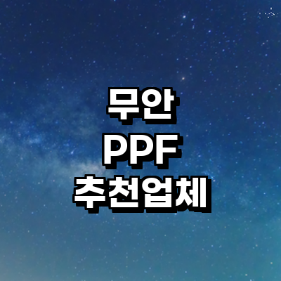무안군 ppf