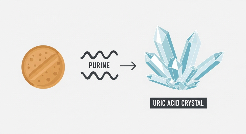 맥주효모 부작용