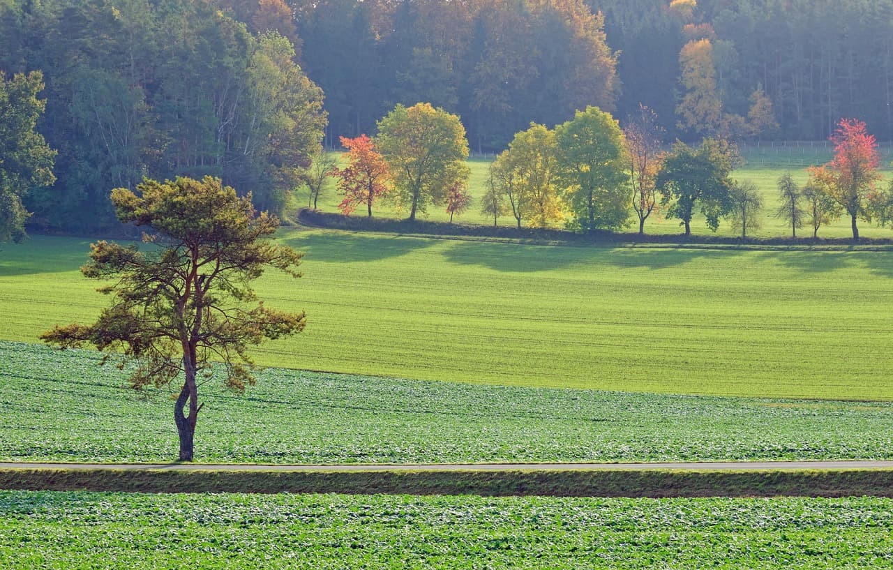 귀촌 후 가장 많이 겪는 생활 불편과 해결 방법