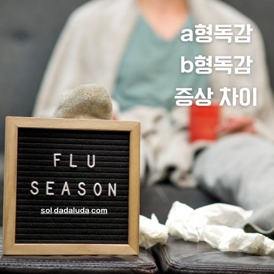 a형독감 b형독감 증상 차이 격리기간 