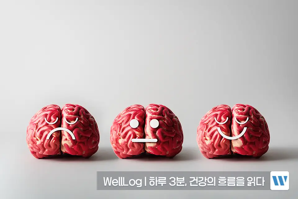포스파티딜세린 효능 효과