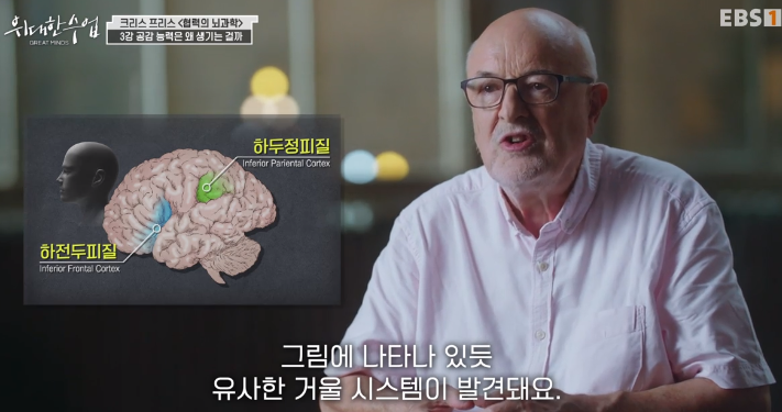 &quot;alt&quot;:&quot;원숭이와 인간의 거울 시스템&quot;