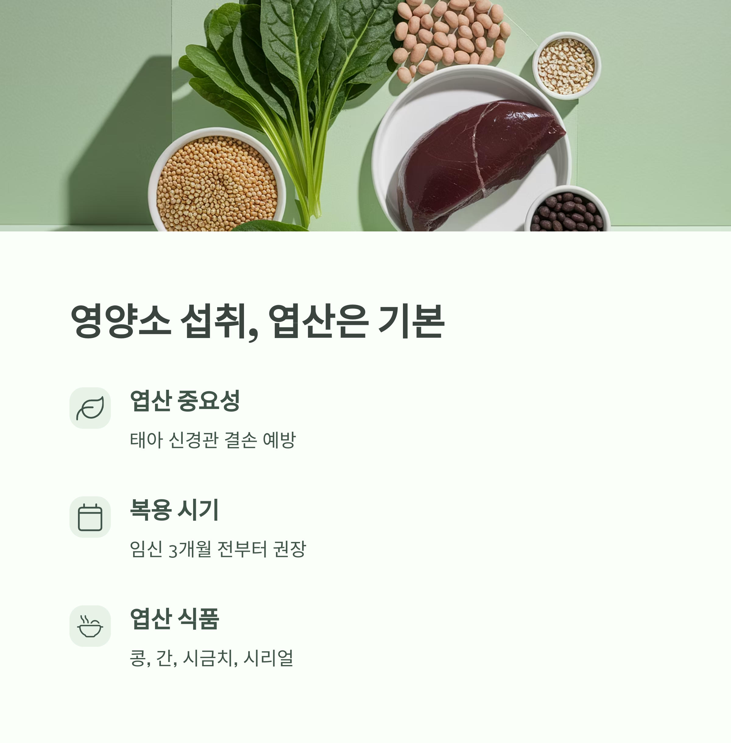 임신 준비 – 엽산 섭취의 중요성