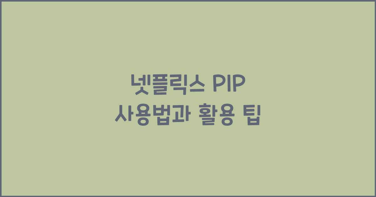 넷플릭스 PIP