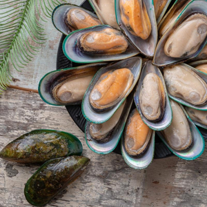 뉴질랜드 녹색 홍합