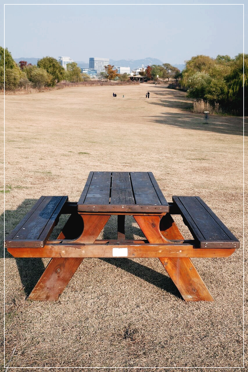 파주 캠핑장 예약! 추천 명소 & 실시간 사이트 안내