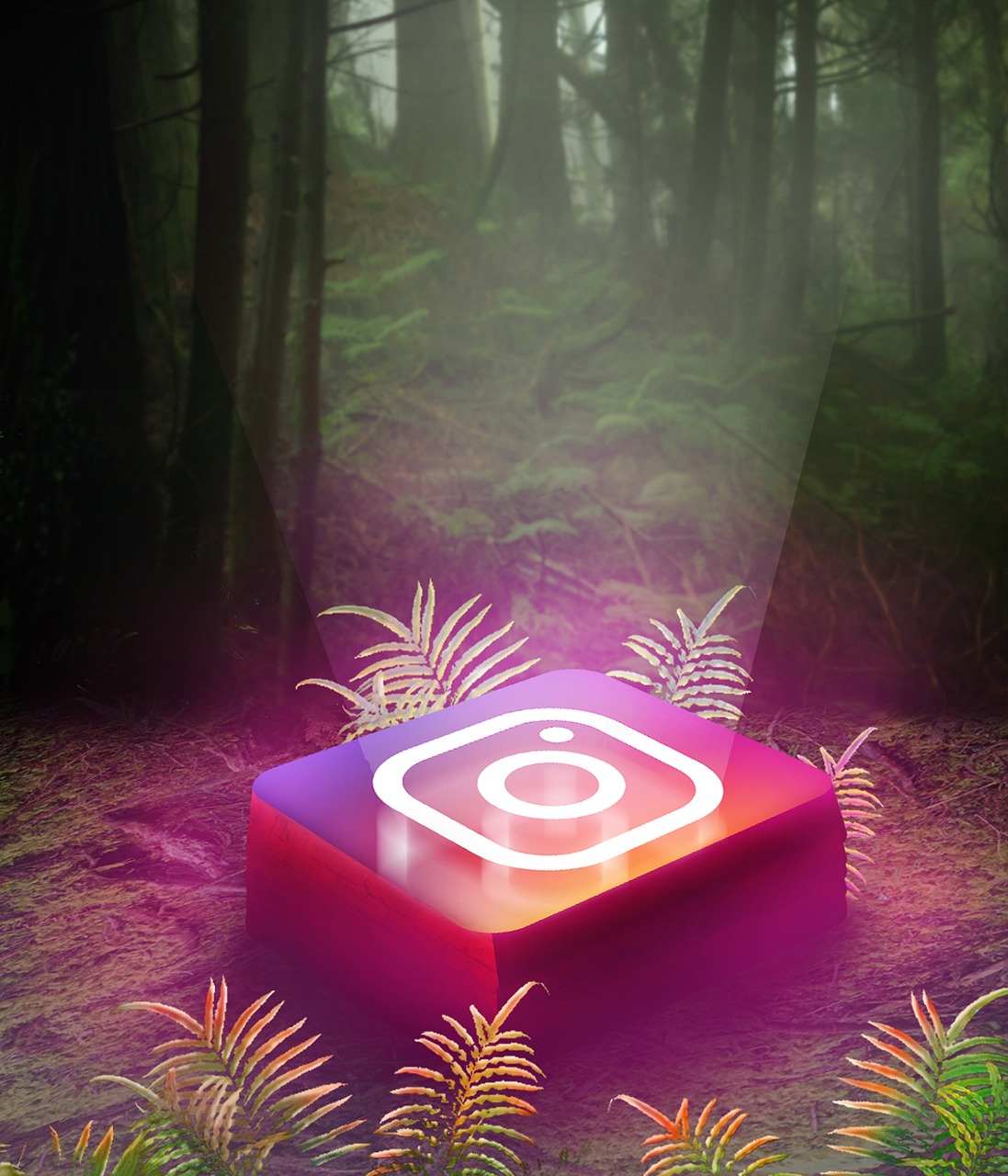 인스타그램 팔로우 늘리는 밥법