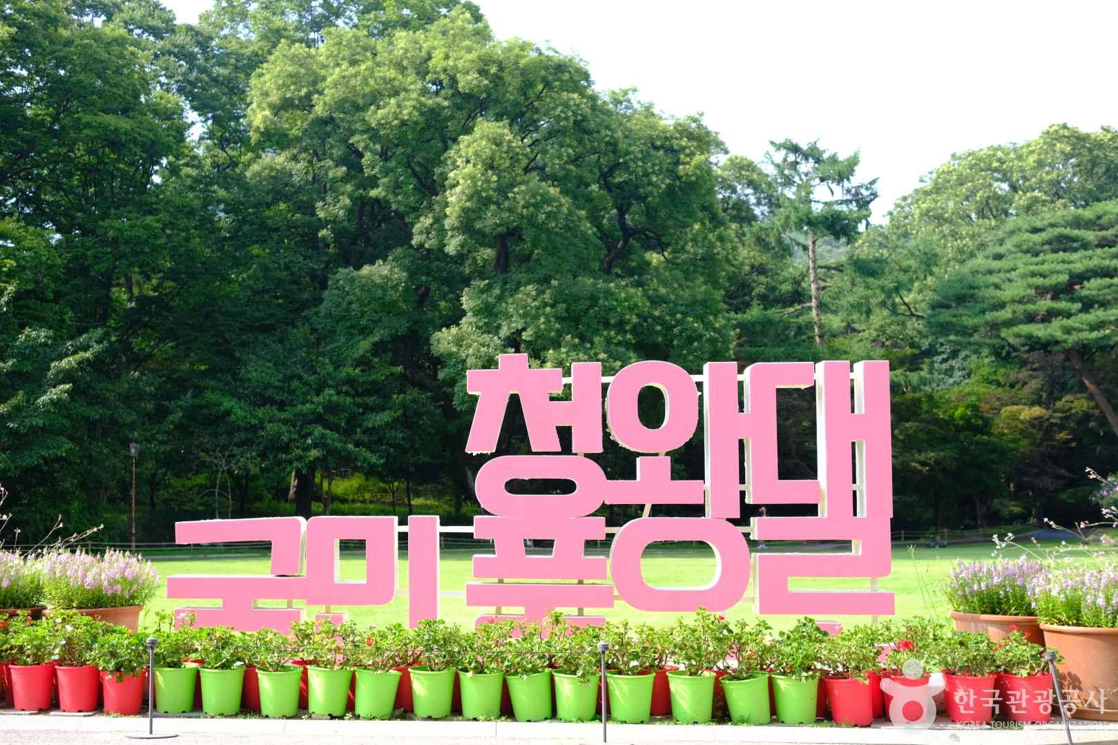 청와대 개방 개요