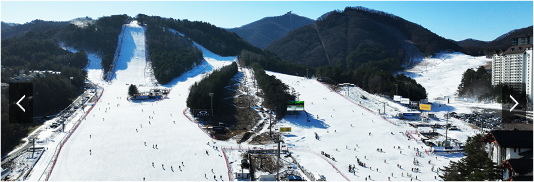 강원도 스키장 완벽 가이드 🎿 용평부터 비발디파크까지