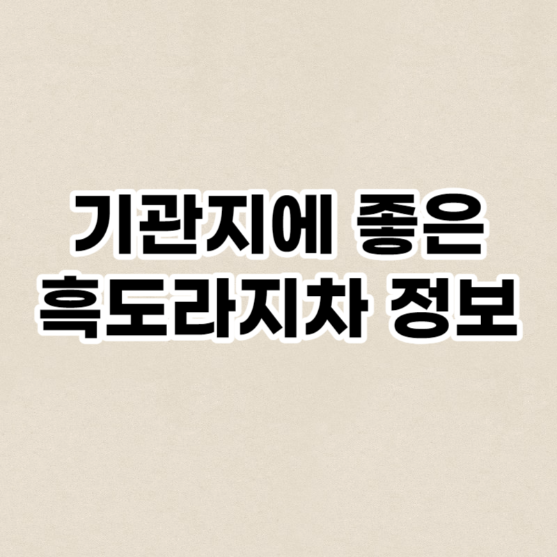 기관지에 좋은 흑도라지차 정보