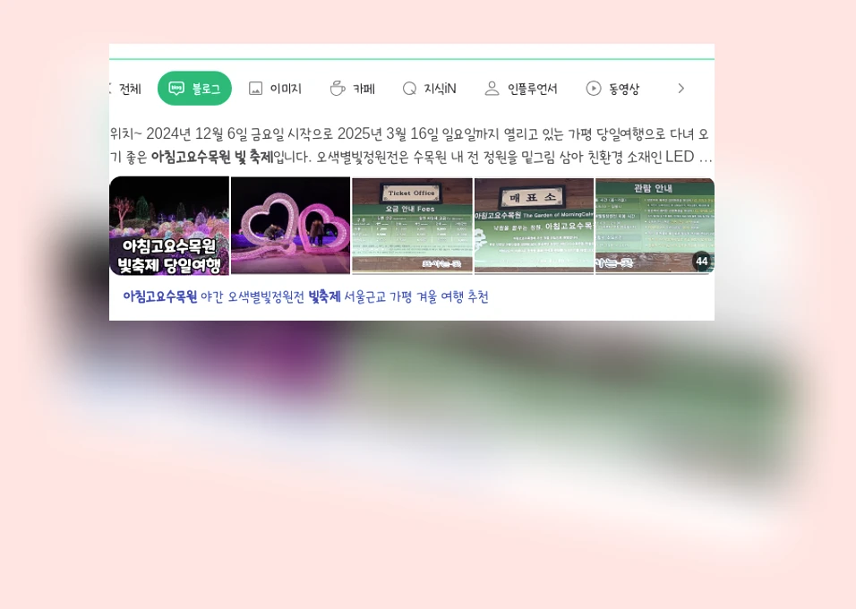 아침고요수목원빛축제_1_subsection
