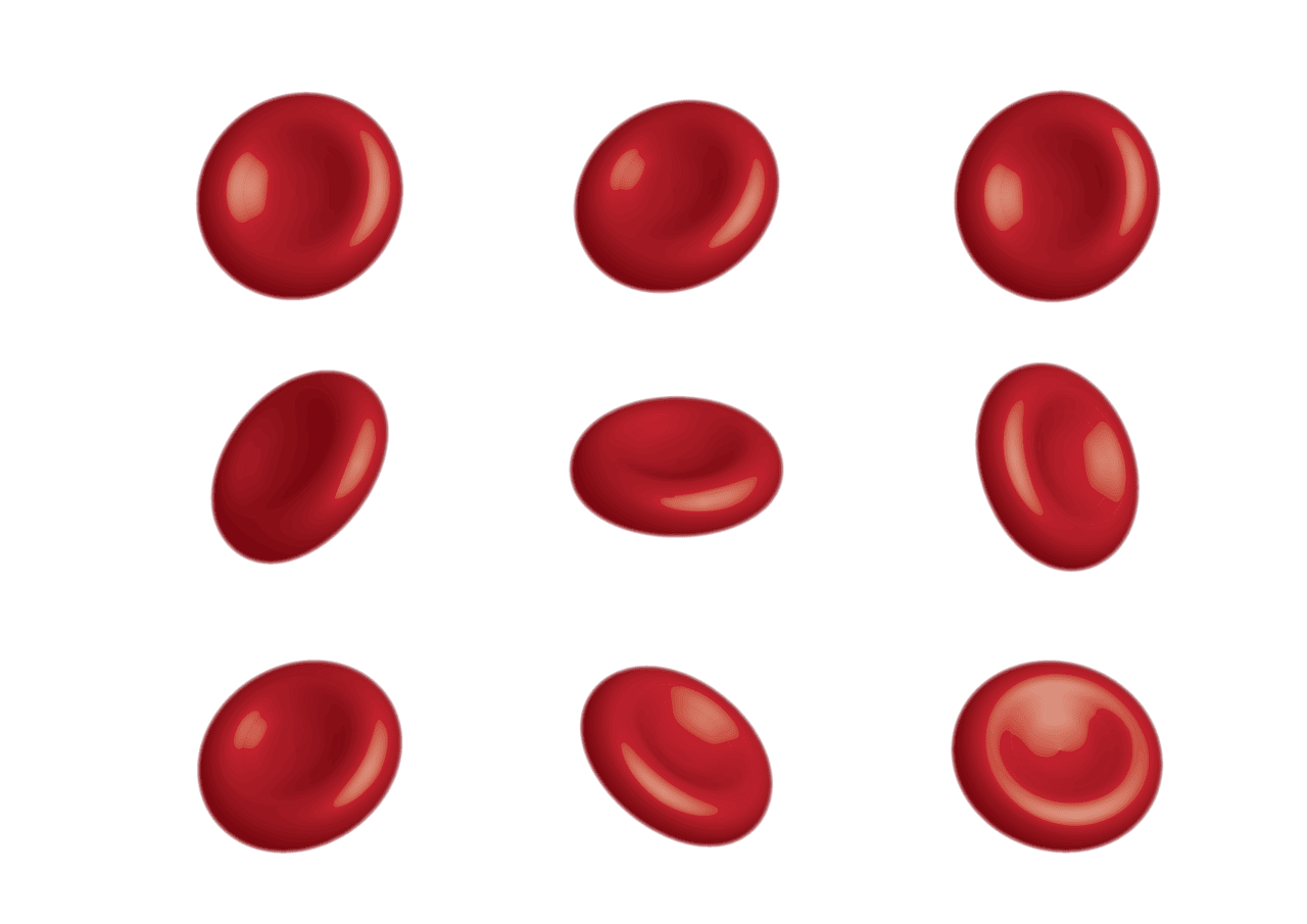 동그란 적혈구 이미지 9개