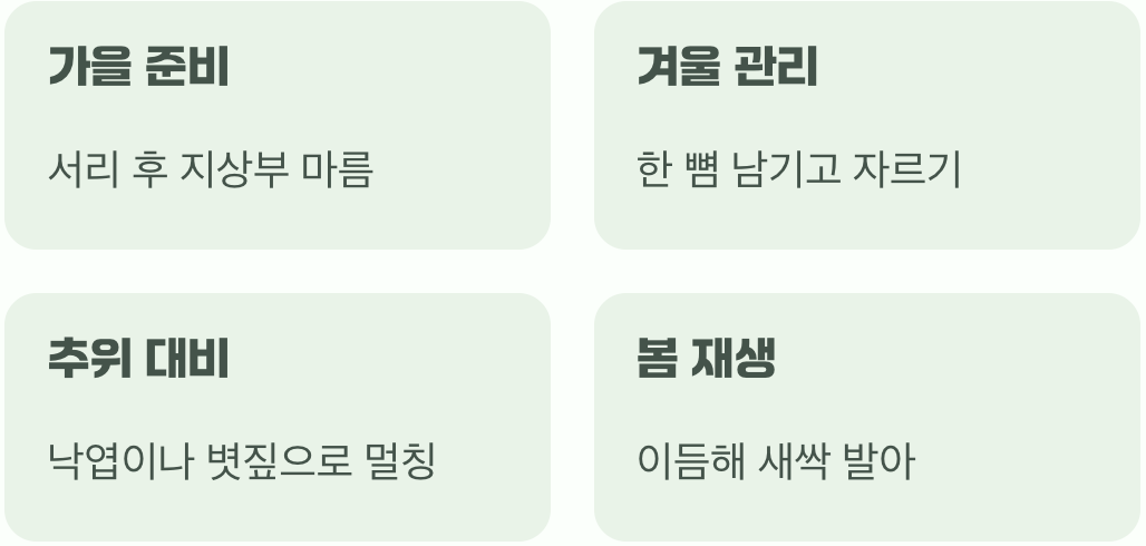 추운 겨울을 이겨내는 법, '월동'