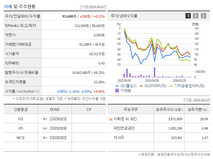 OCI홀딩스_기업개요