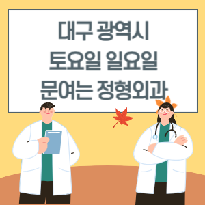 대구 토요일 일요일 정형외과 진료 병원 리스트