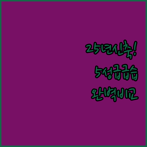 2025년 신축 호텔부터 5성급 럭셔..